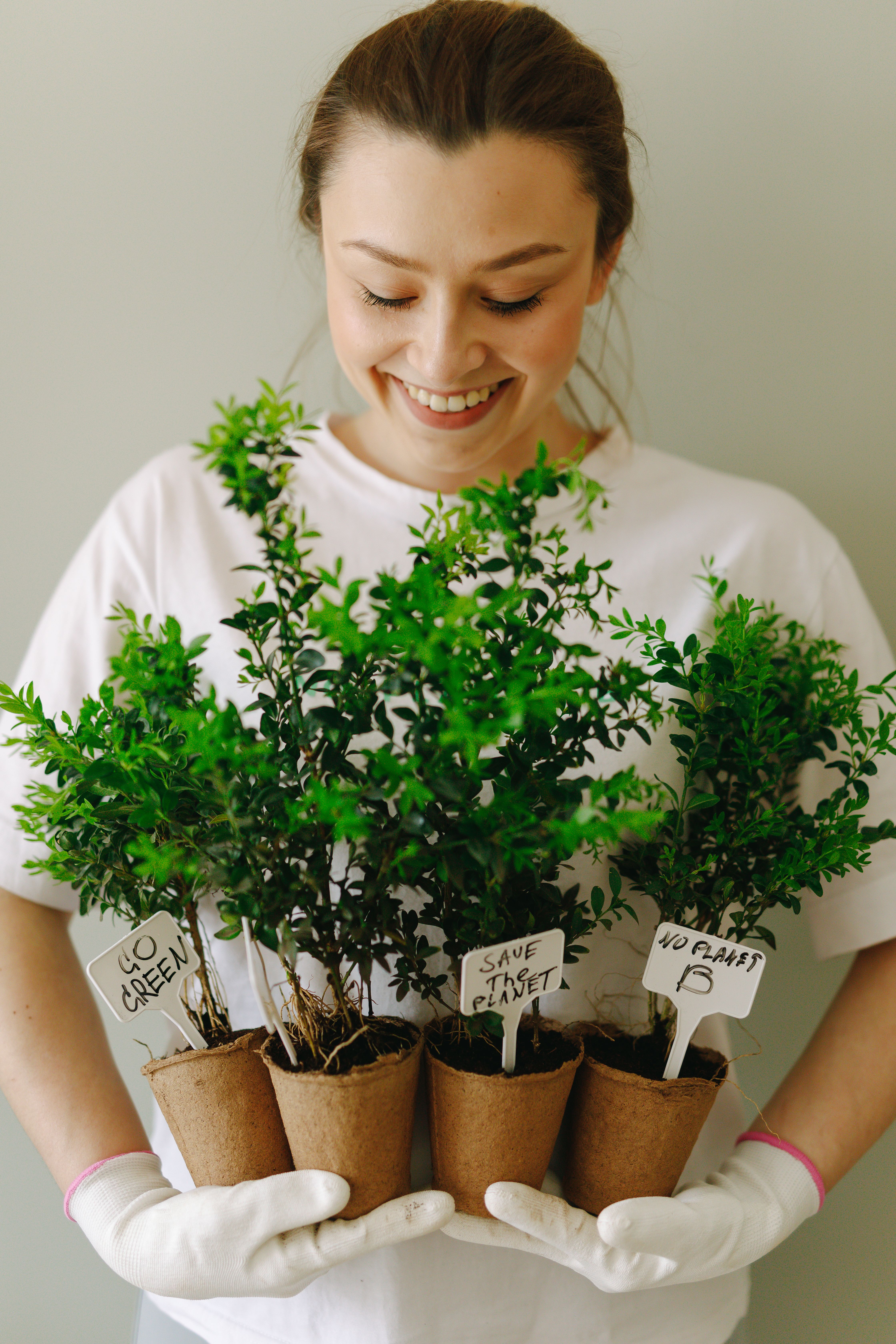 Lush green plants suggesting a living home