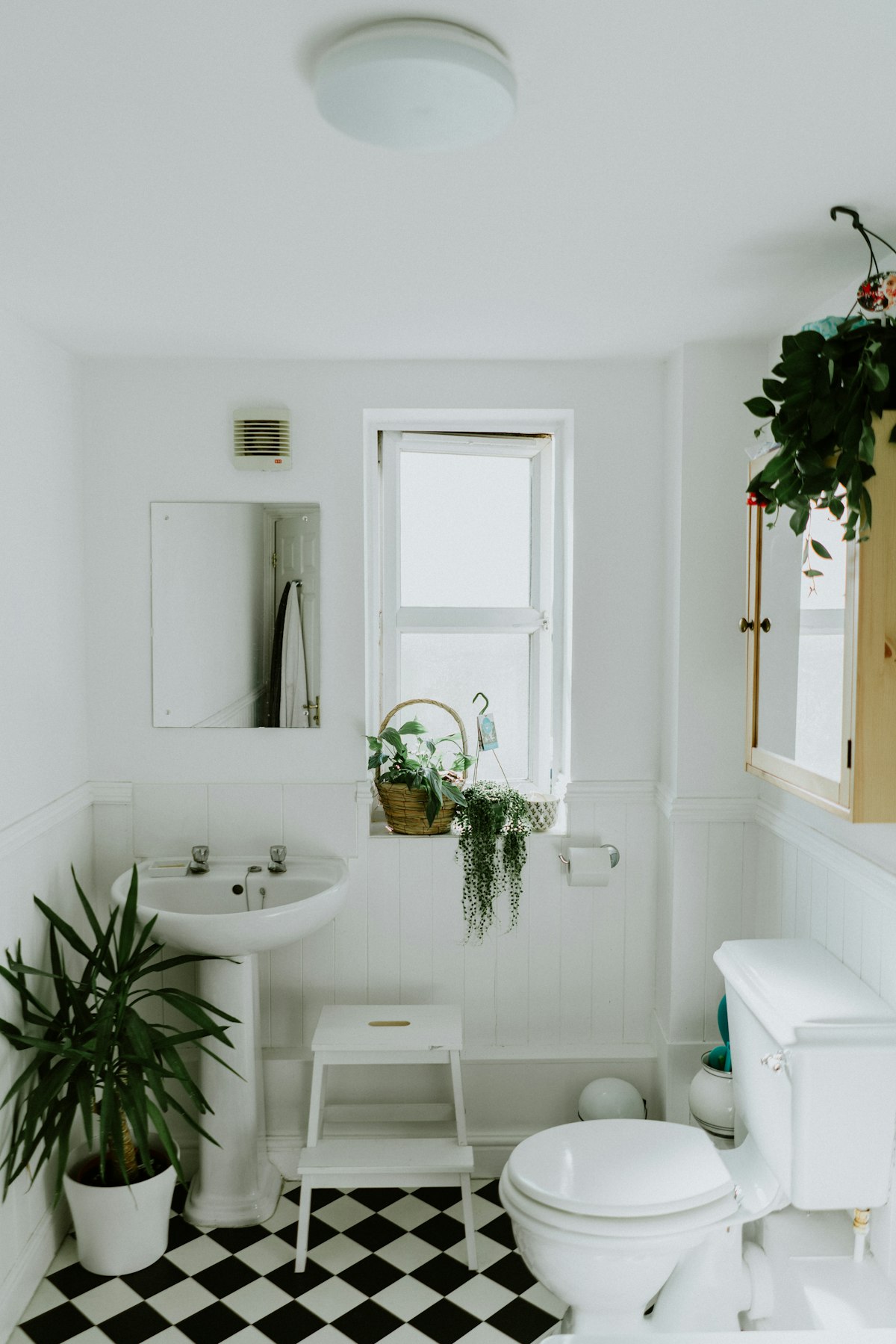 Bright bathroom with plants