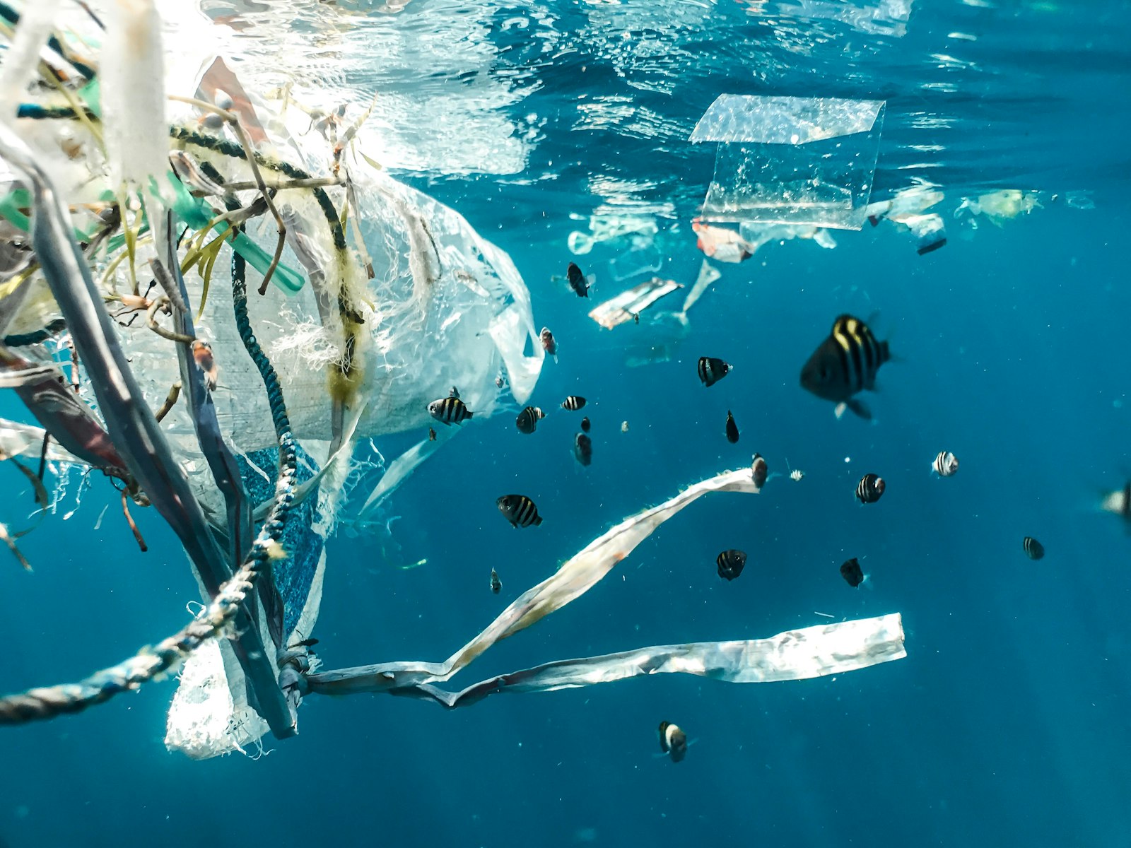 Plastic and debris near water